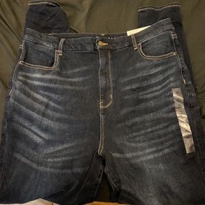 American Eagle Plus Size Skinny Jeans